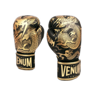 Boxing gloves Venum Dragon's Flight